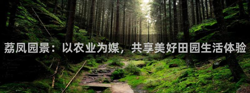 天辰娱乐上级