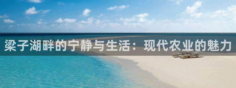 天辰国际娱乐