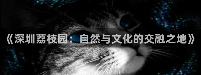 天辰娱乐代理