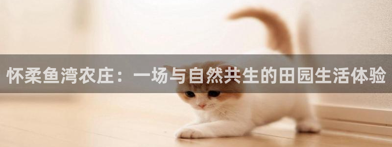 天辰娱乐728567