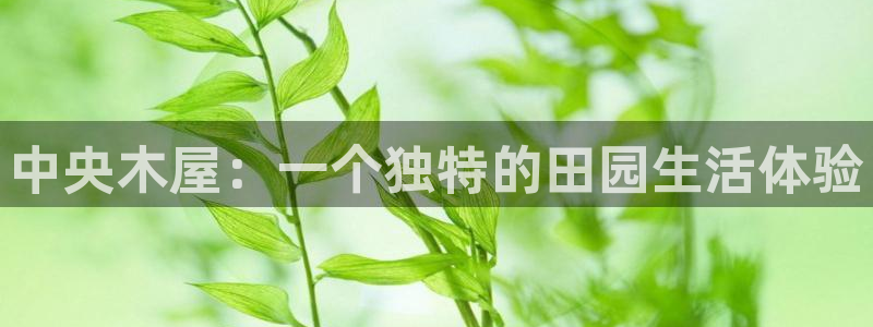 天辰娱乐39974神