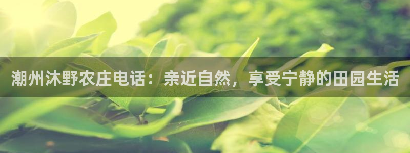 天辰娱乐首选