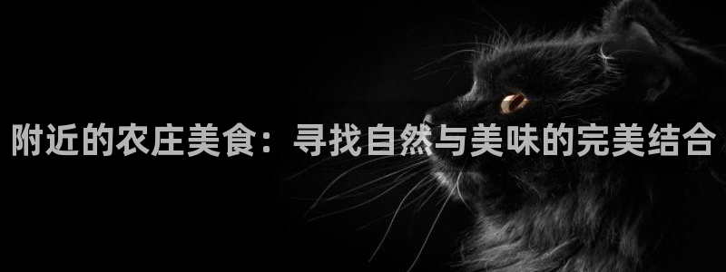 天辰娱乐下载链接