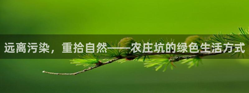 天辰娱乐平台入口