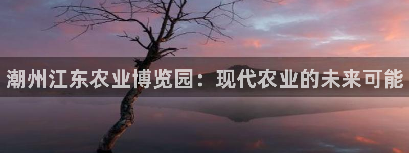 天辰娱乐天辰宝