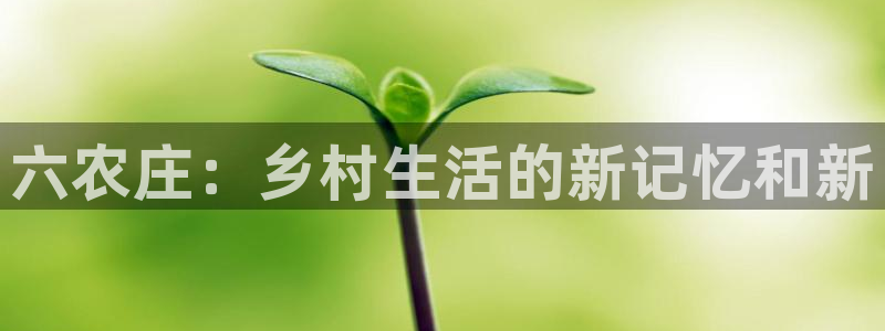 天辰娱乐平台地址在哪里