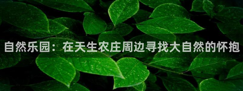 天辰娱乐登录测试