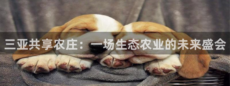 天辰娱乐平台靠谱么