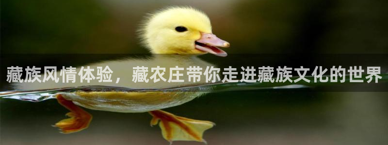天辰娱乐61116
