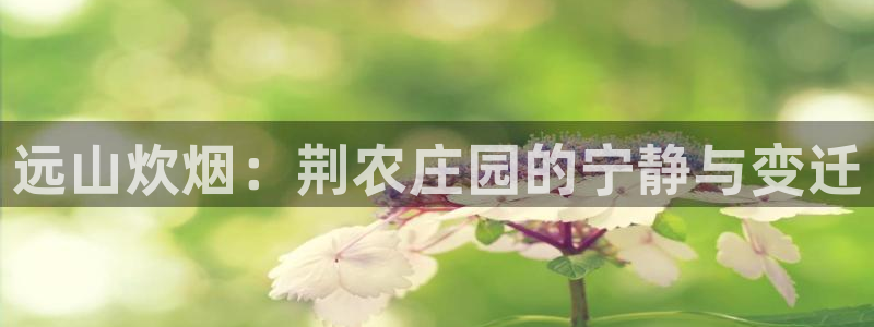 天辰国际娱乐