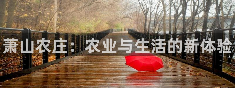 天辰娱乐娱乐平台