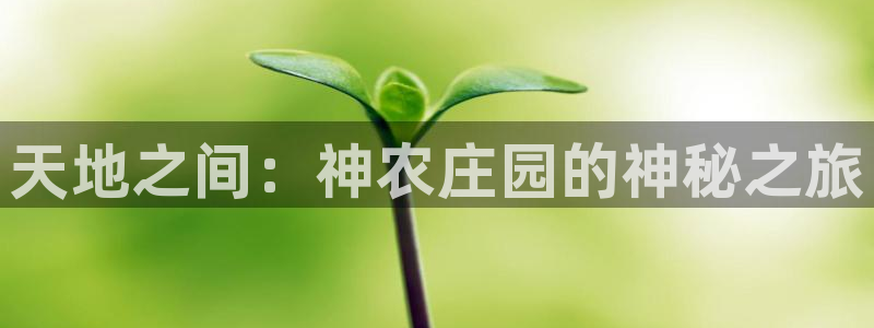 天辰娱乐十分彩