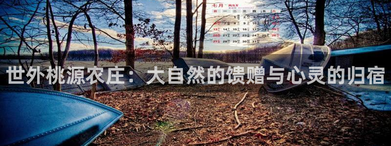 天辰娱乐1956