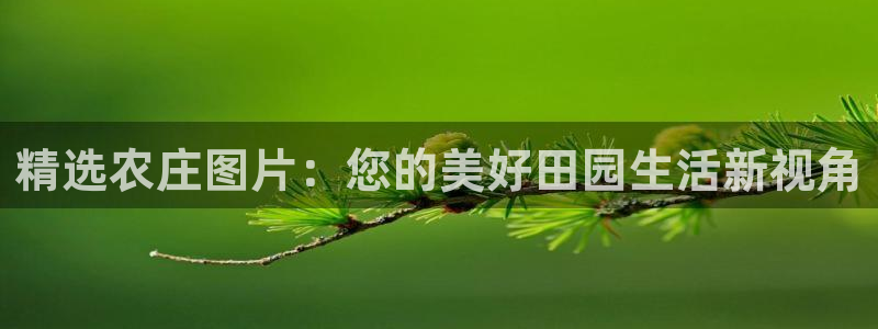 天辰娱乐软件