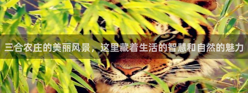 天辰娱乐天辰注册登录
