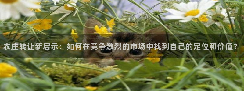 天辰娱乐视频