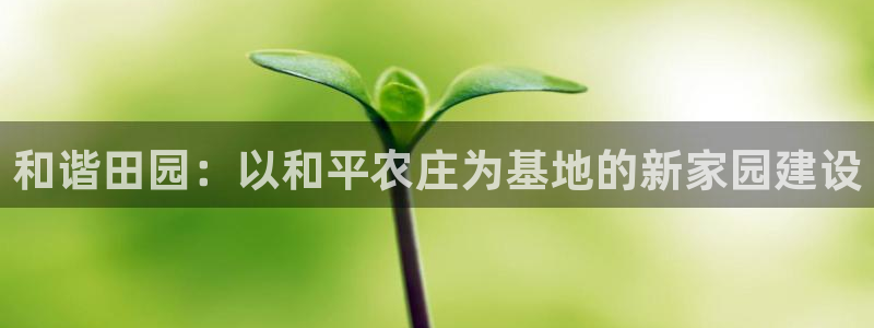 天辰2娱乐