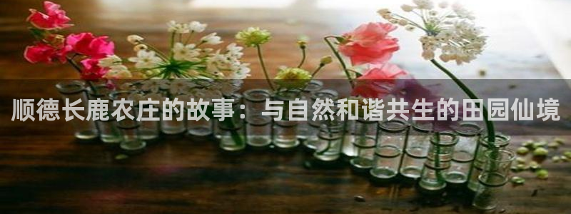 天辰娱乐白屏