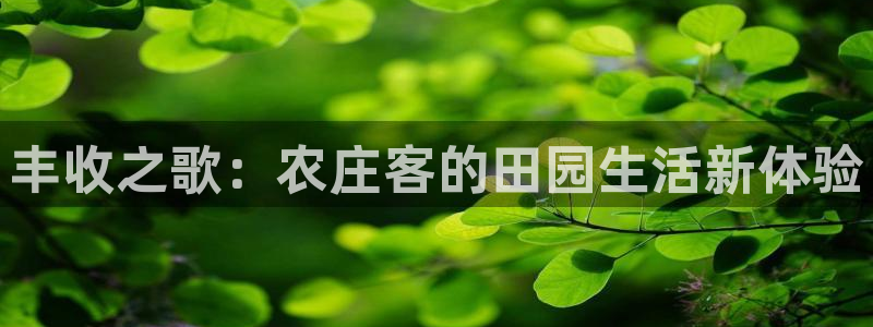 天辰娱乐下载地址