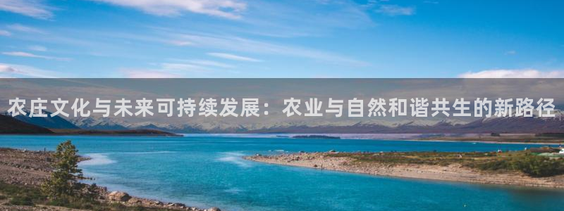 天辰娱乐ttf