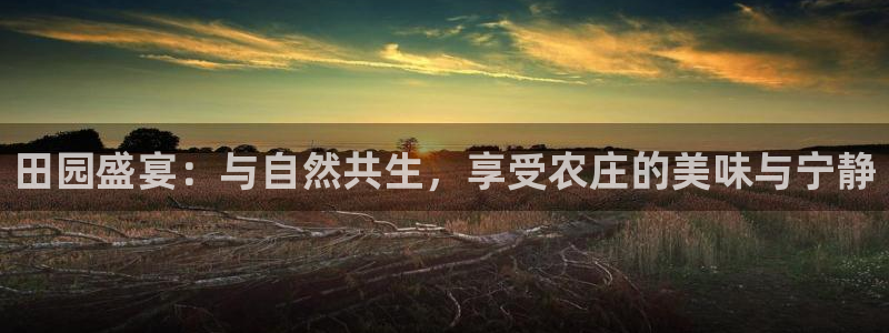 天辰娱乐481928