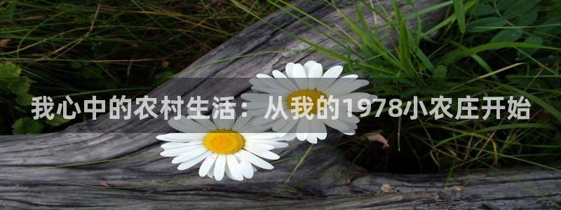 天辰娱乐675138
