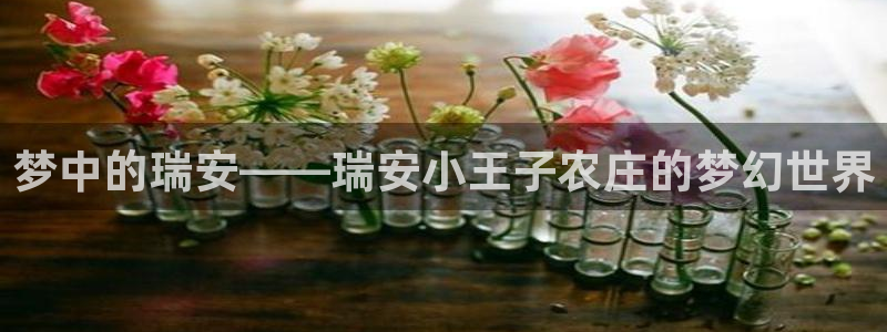 天辰娱乐天辰宝