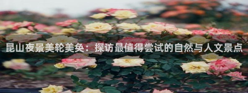 天辰娱乐股票